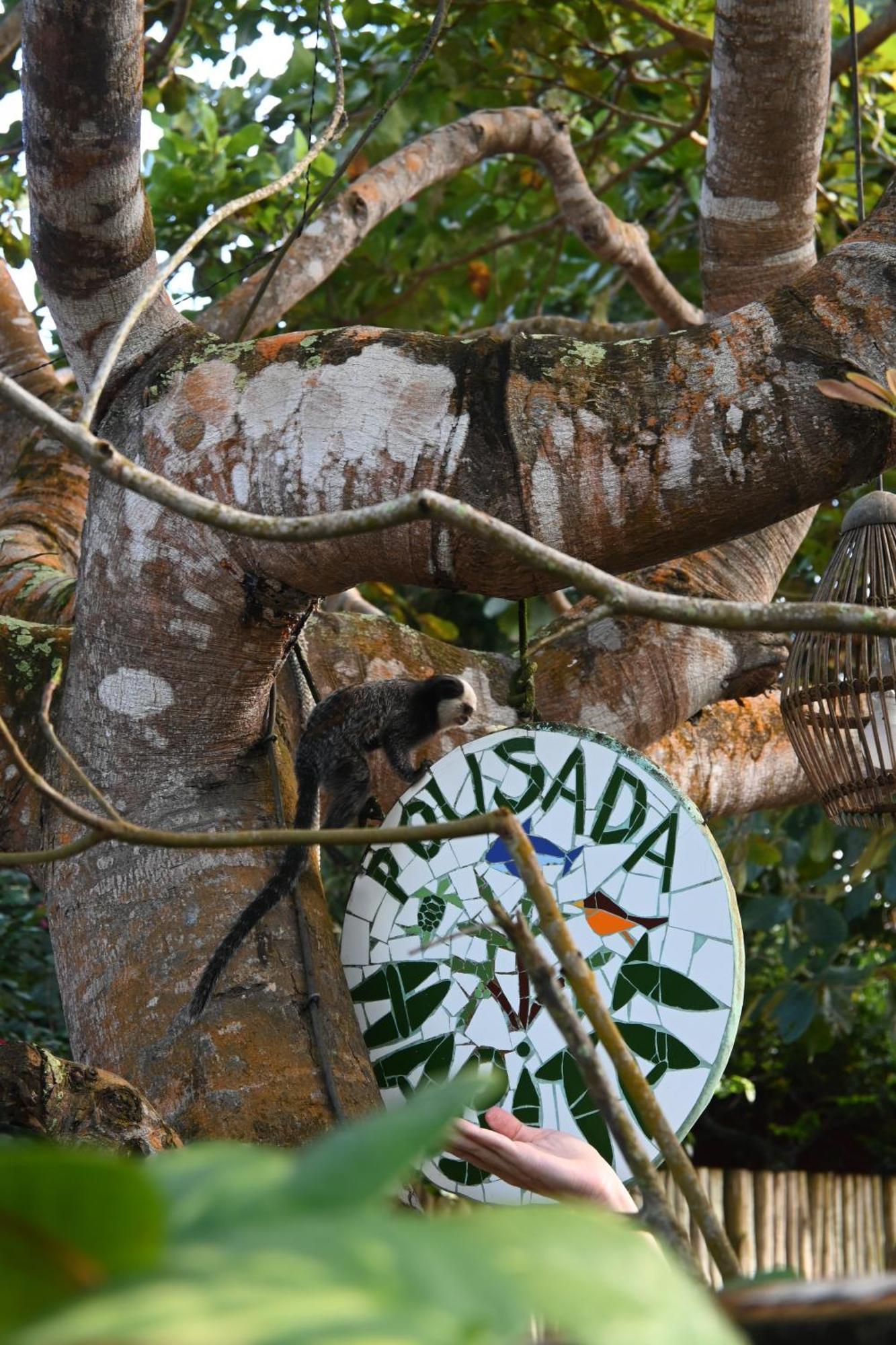 Pousada Habitat Caraíva المظهر الخارجي الصورة